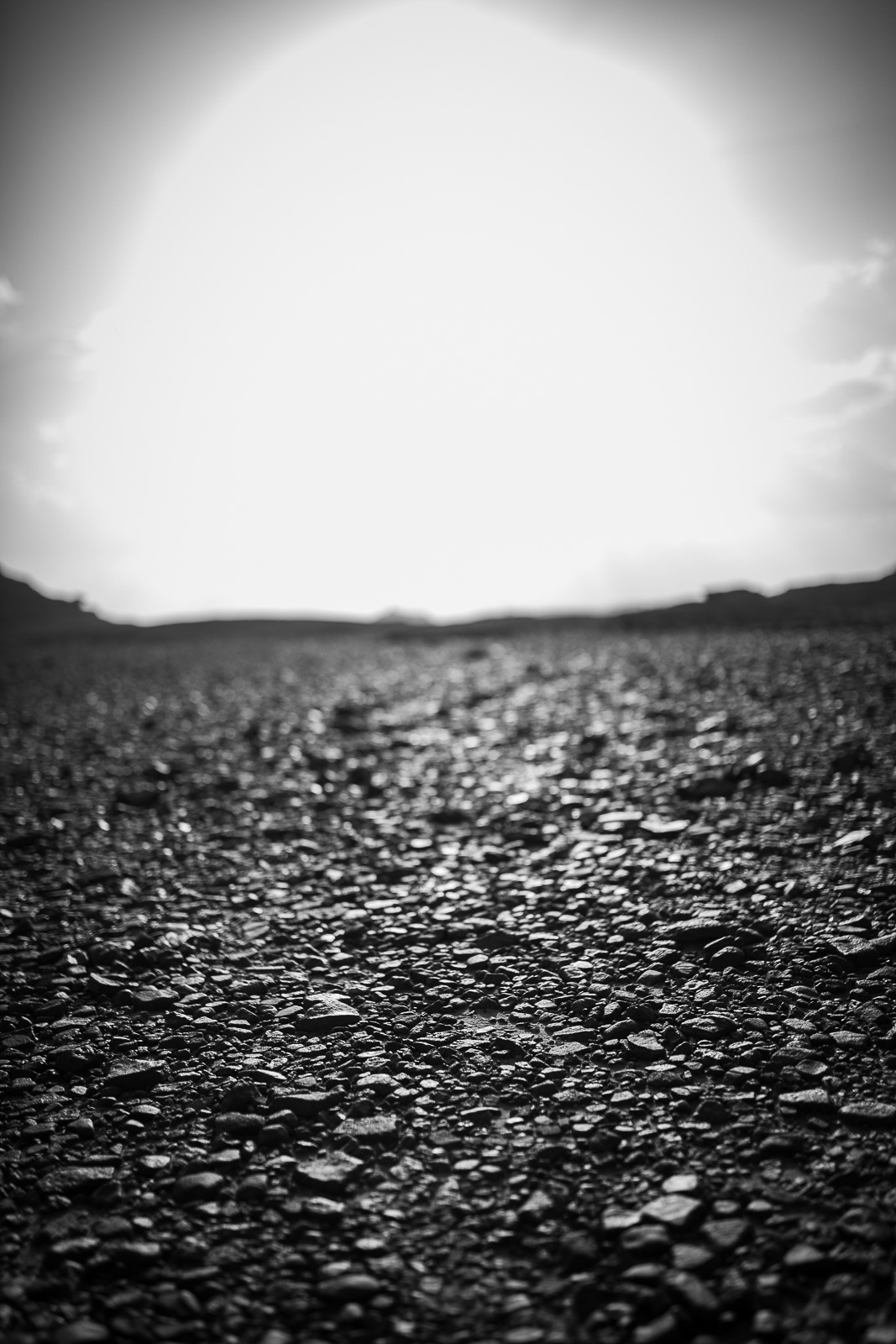 Human & Nature  outoftime 83